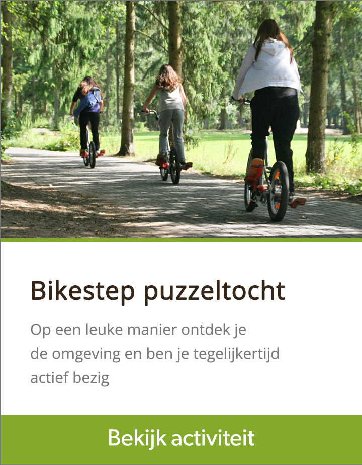 bikesteppen