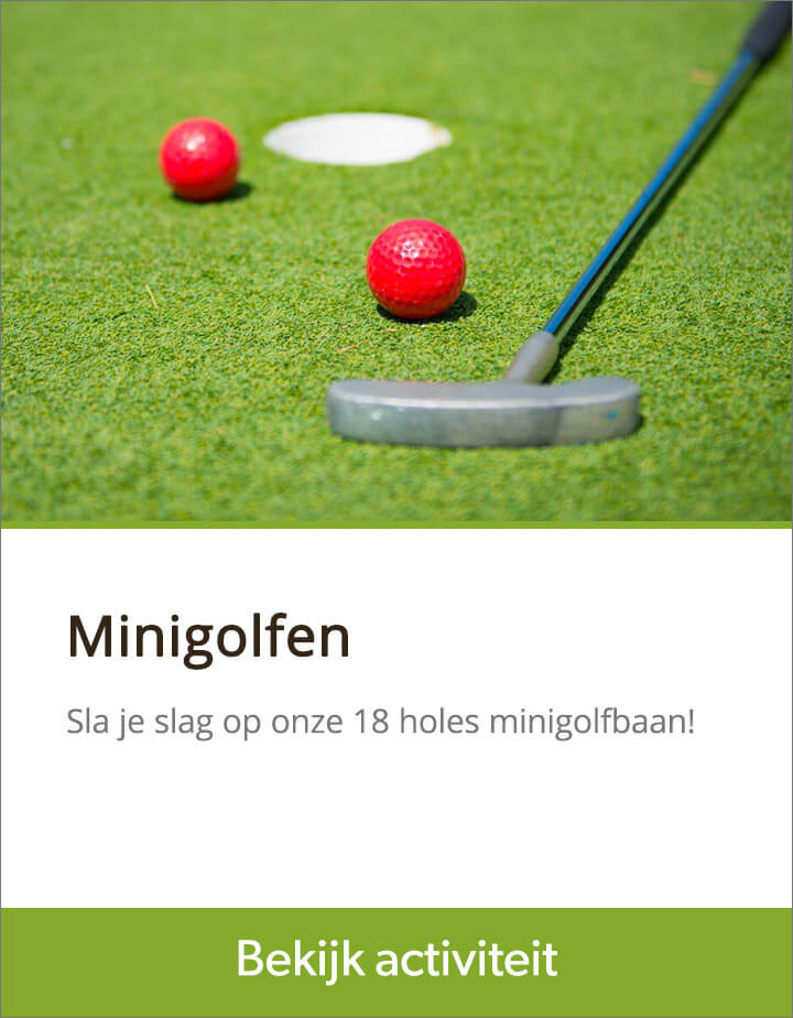 activiteit-minigolf